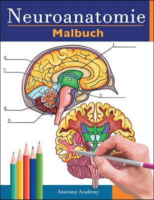 Neuroanatomie Malbuch: Detailliertes Malbuch zum Selbsttest des menschlichen Gehirns fur die Neurowissenschaften Perfektes Geschenk fur Mediz