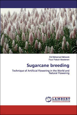 Sugarcane breeding