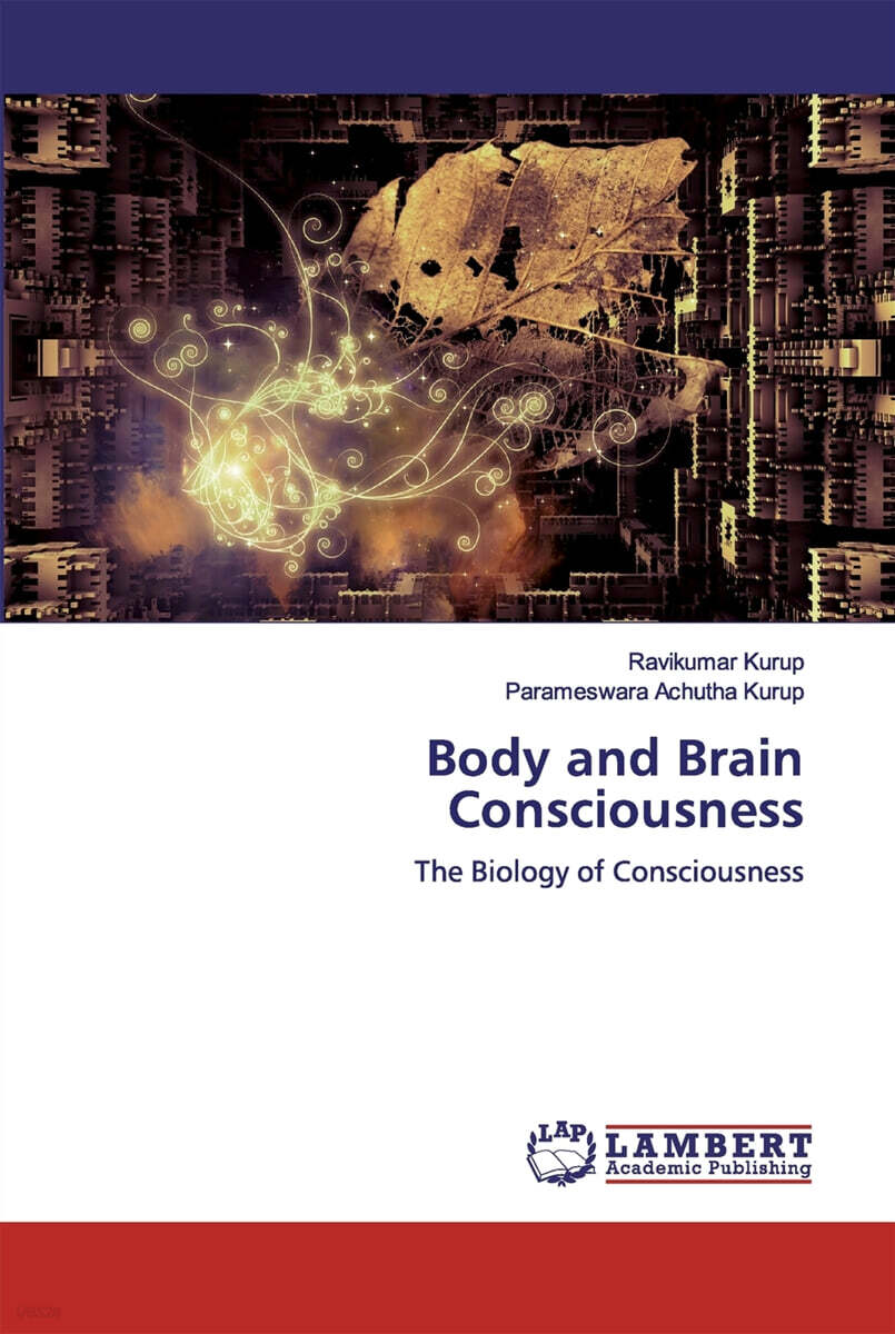 Body and Brain Consciousness