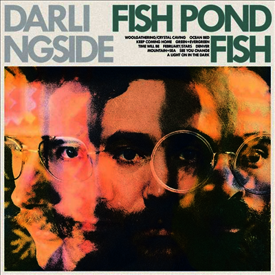 Darlingside - Fish Pond Fish (LP)