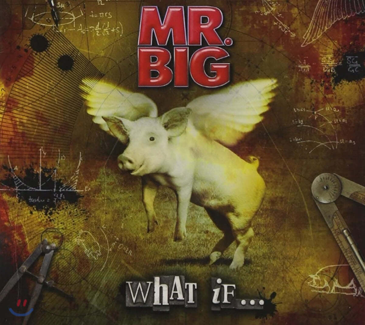 Mr. Big (미스터 빅) - 7집 What If... [CD+DVD] 