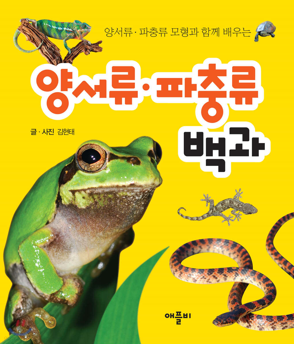 양서류·파충류 모형과 함께 배우는 양서류·파충류 백과