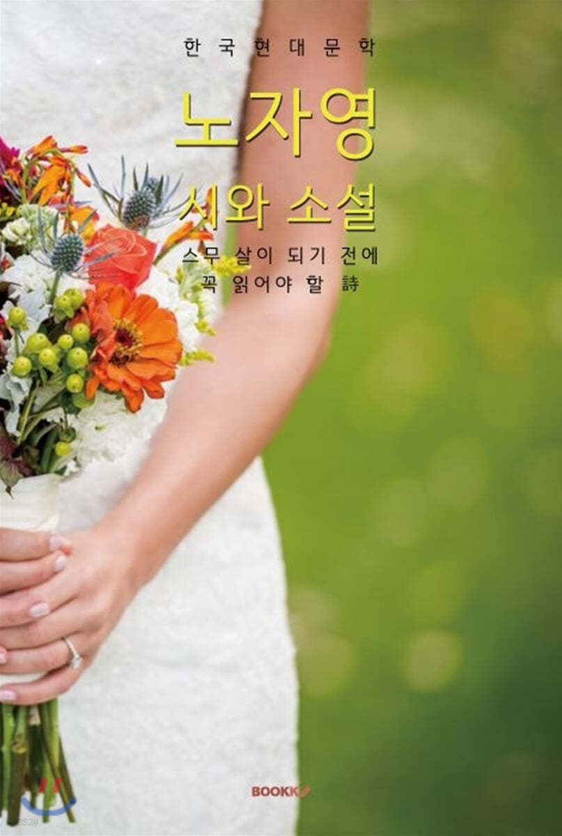 노자영 시와 소설 (큰글씨 특별판)