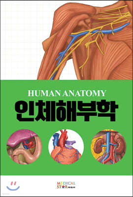 인체해부학