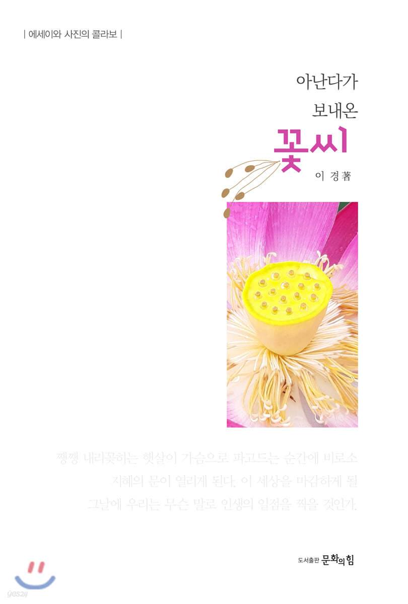 아난다가 보내온 꽃씨
