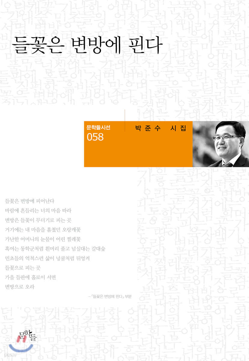 들꽃은 변방에 핀다