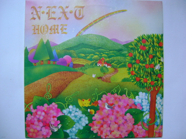 LP(엘피 레코드) 넥스트 (Next) 1집 : Home 