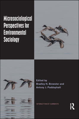 Microsociological Perspectives for Environmental Sociology