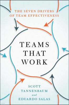 Teams That Work: The Seven Drivers of Team Effectiveness