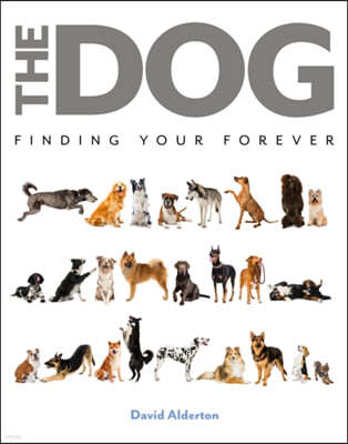 The Dog: Finding Your Forever
