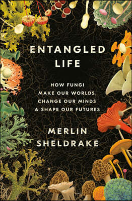 Entangled Life: How Fungi Make Our Worlds, Change Our Minds & Shape Our Futures