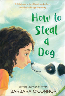 How to Steal a Dog