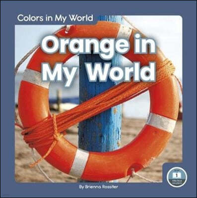 Orange in My World