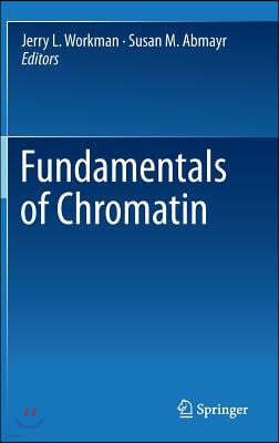 Fundamentals of Chromatin