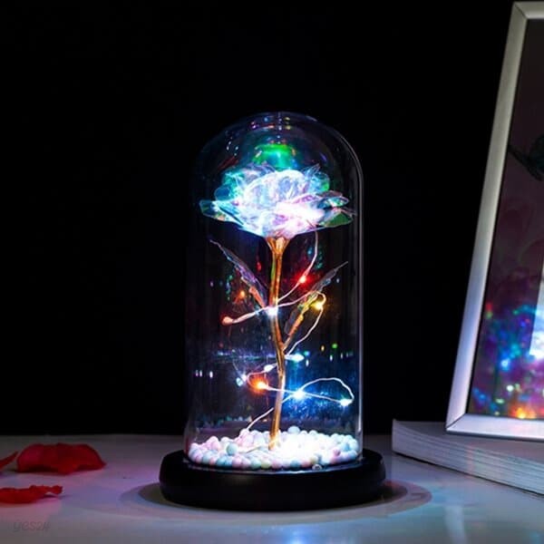 홀로그램 장미 LED 유리돔 [플라워 꽃 LED꽃 투명 크리스탈 글라스돔 카네이션 무드등]