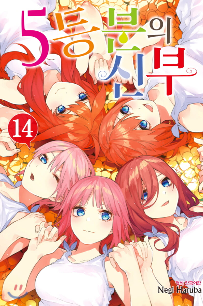 5등분의 신부 14