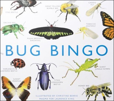 Bug Bingo