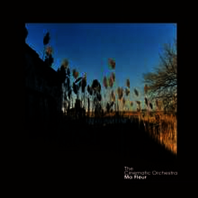 Cinematic Orchestra — Ma Fleur (Limited Deluxe Edition) 앨범 커버