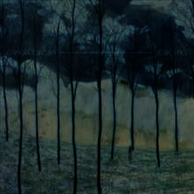 Camera Obscura — Desire Lines (Deluxe Edition) 앨범 커버