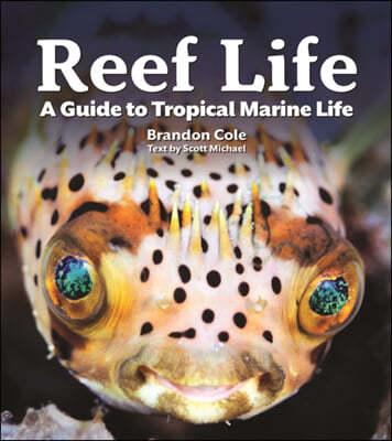 Reef Life: A Guide to Tropical Marine Life