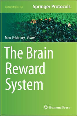 The Brain Reward System