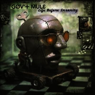 Gov't Mule — Life Before Insanity 앨범 커버