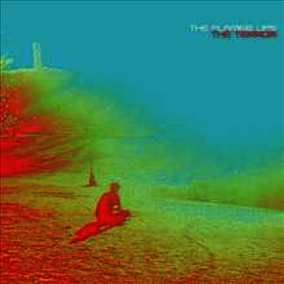 Flaming Lips — Terror 앨범 커버