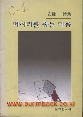 안건일 시집 메아리를 줍는 마음