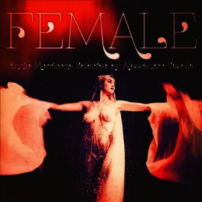 Ennio Morricone - Female (피메일) (Soundtrack)(LP)