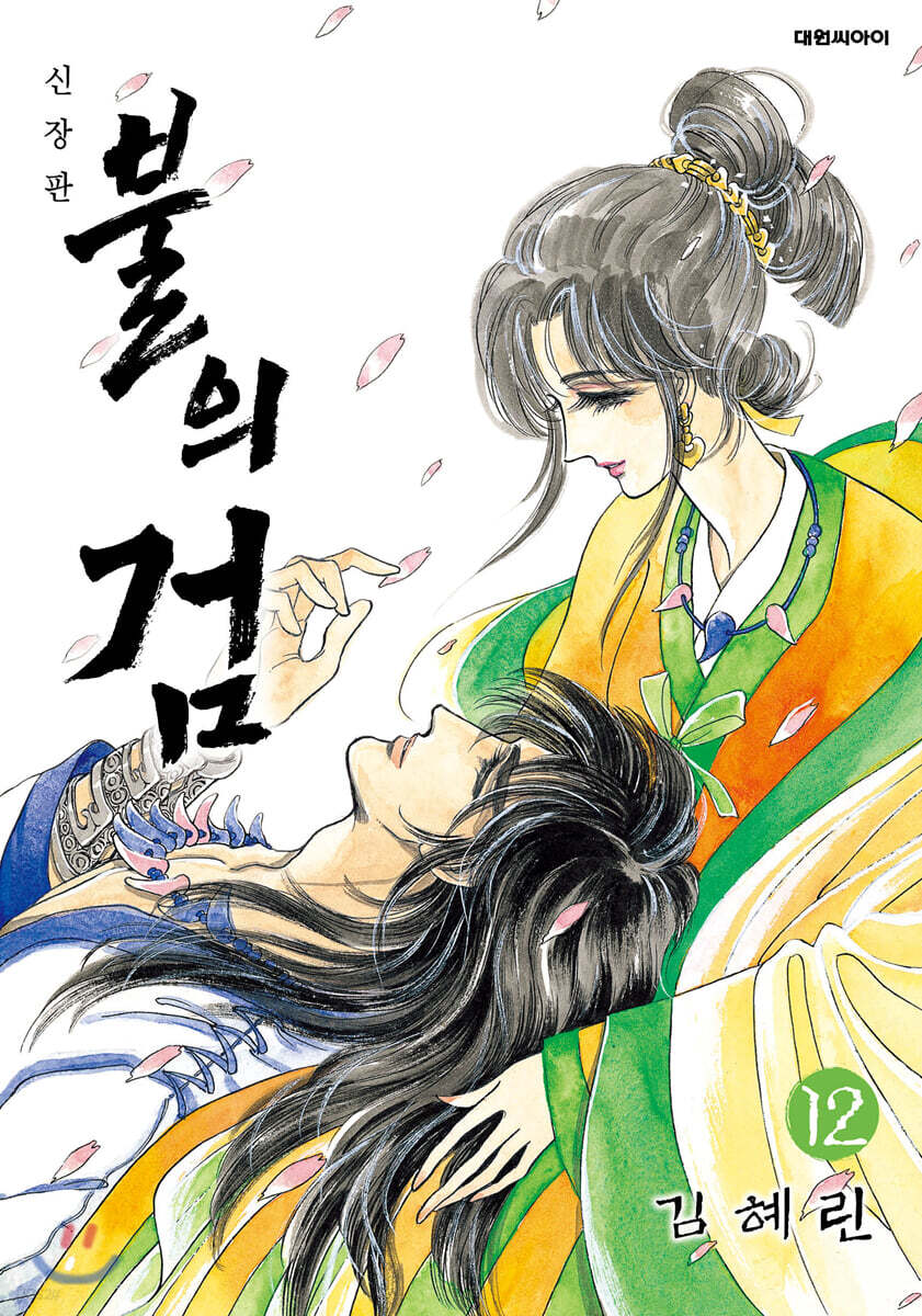 불의 검 신장판 12