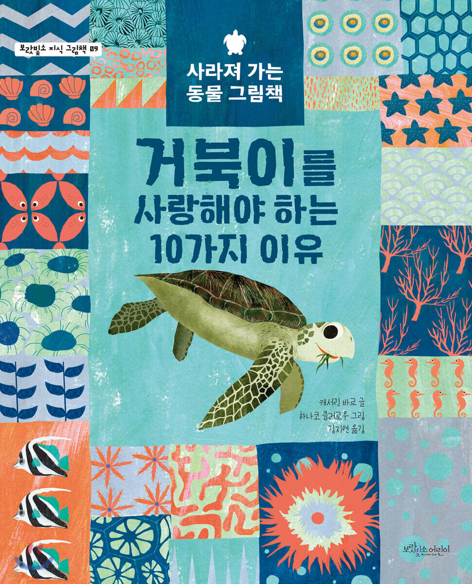 거북이를 사랑해야 하는 10가지 이유