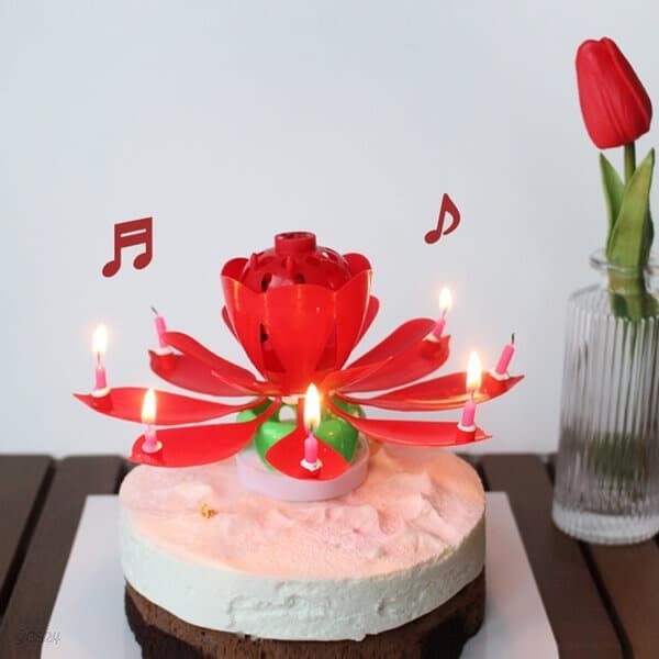 멜로디 연꽃초 생일축하 폭탄초 회전초 5color [인싸 연꽃 촛불 초 꽃초 케이크초 케익 케잌]
