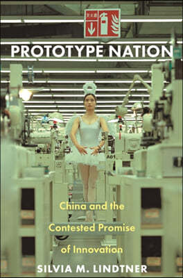 Prototype Nation: China and the Contested Promise of Innovation
