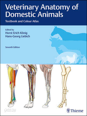 Veterinary Anatomy of Domestic Animals