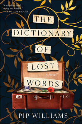 The Dictionary of Lost Words