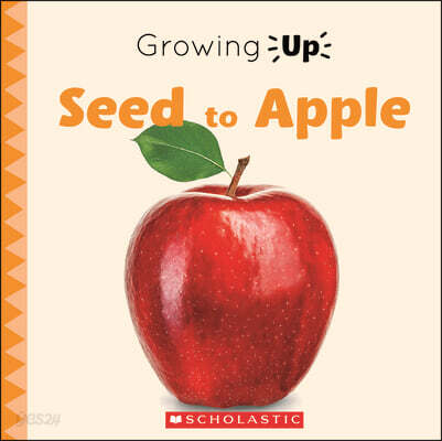 Seed to Apple (Growing Up)