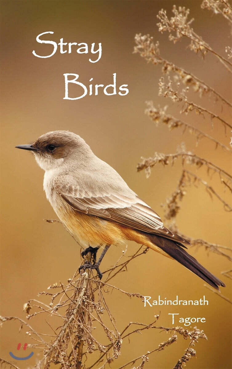 Stray Birds