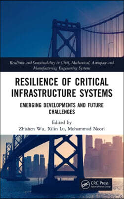 Resilience of Critical Infrastructure Systems