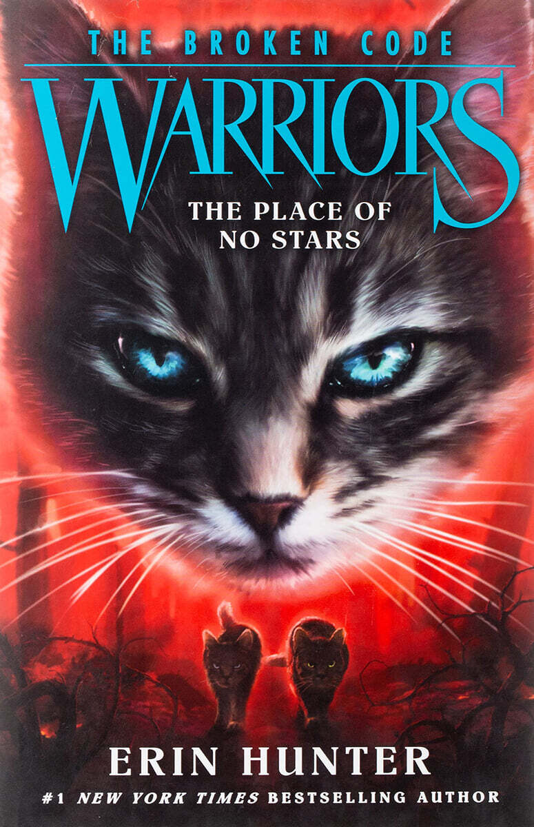 Warriors: The Broken Code: The Place of No Stars