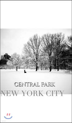 central park New York City Winter wonderland blank journal: central park New York City Winter wounderland blank journal