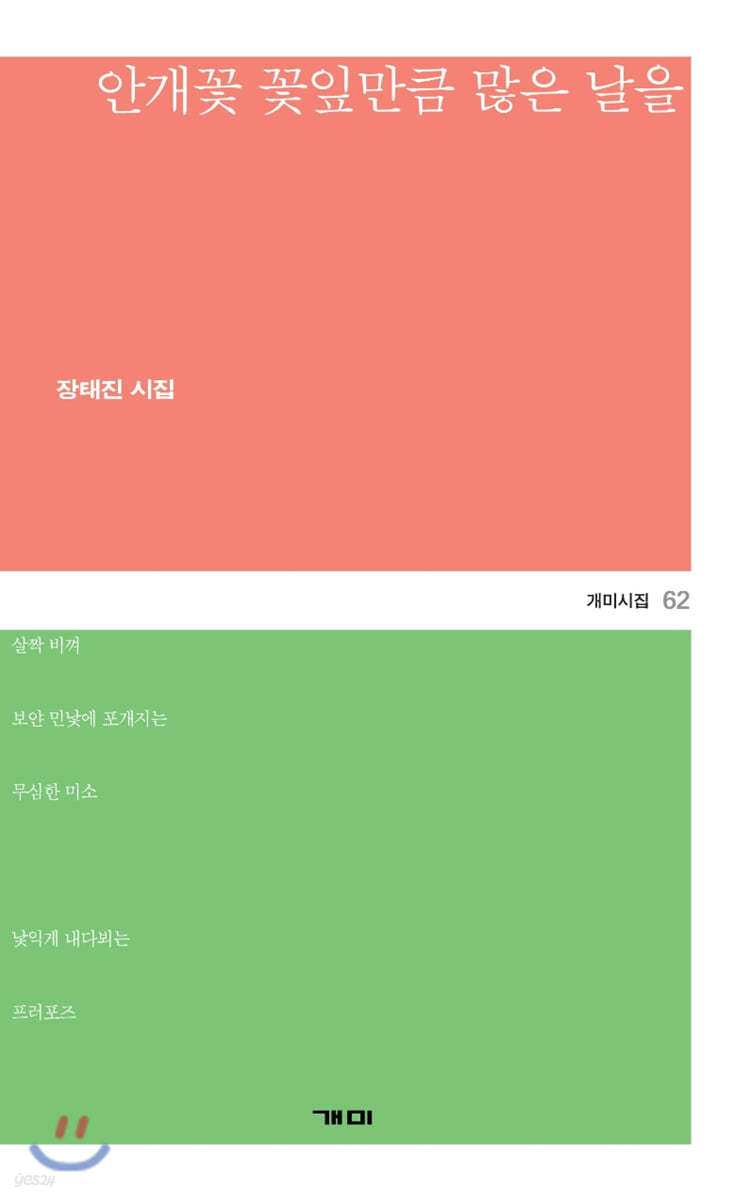 안개꽃 꽃잎만큼 많은 날을