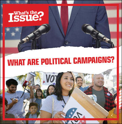 What Are Political Campaigns?