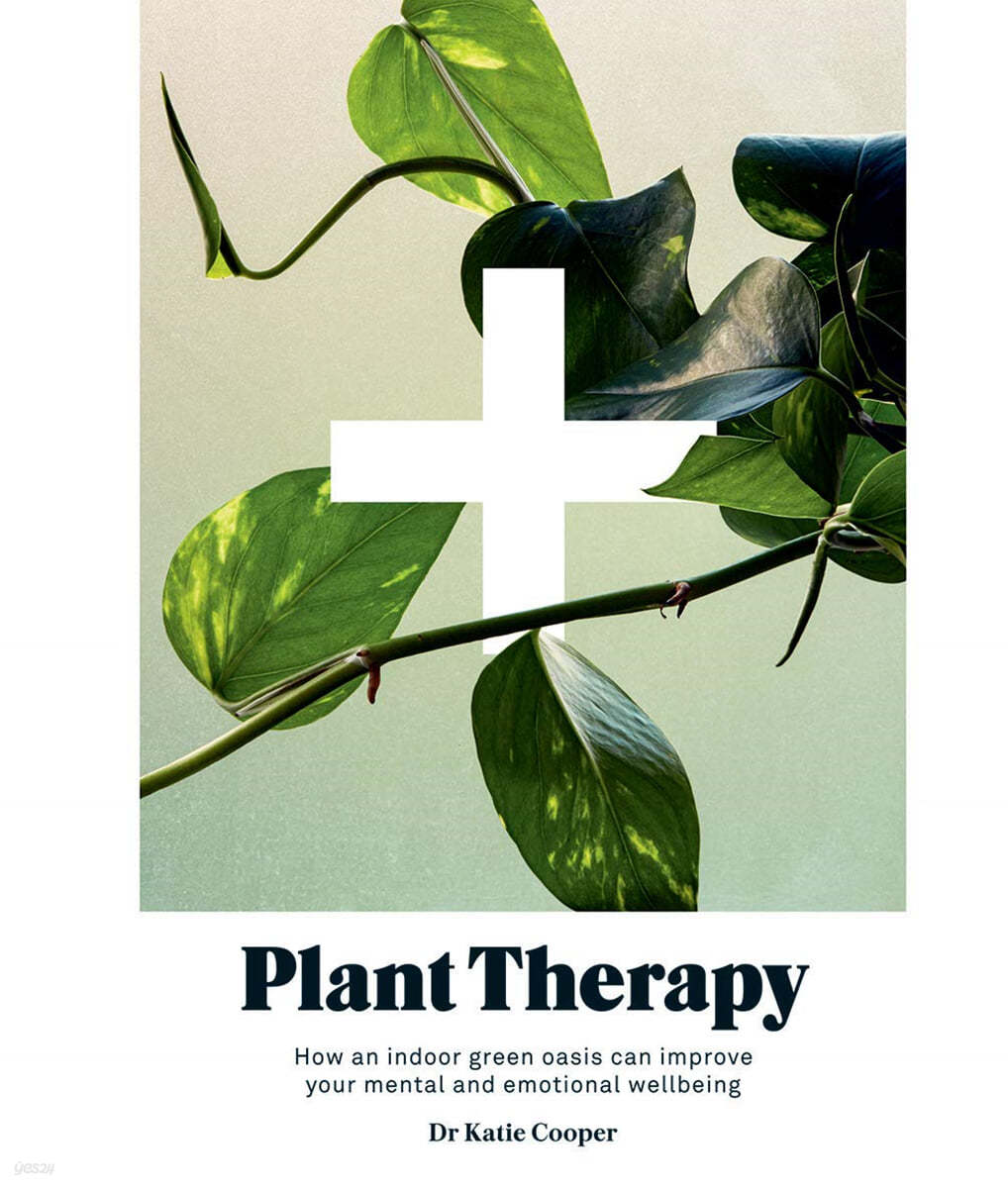 Plant Therapy: Why an Indoor Green Oasis Can Improve Your Mental and Emotional Wellbeing