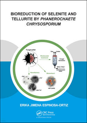 Bioreduction of Selenite and Tellurite by Phanerochaete Chrysosporium