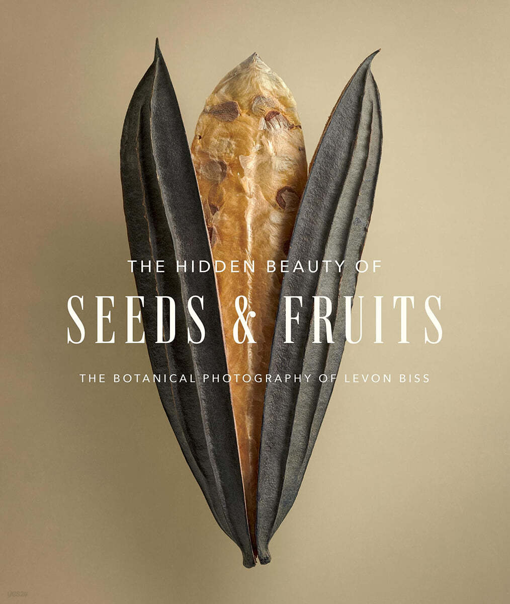 The Hidden Beauty of Seeds &amp; Fruits: The Botanical Photography of Levon Biss