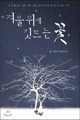 책 정보