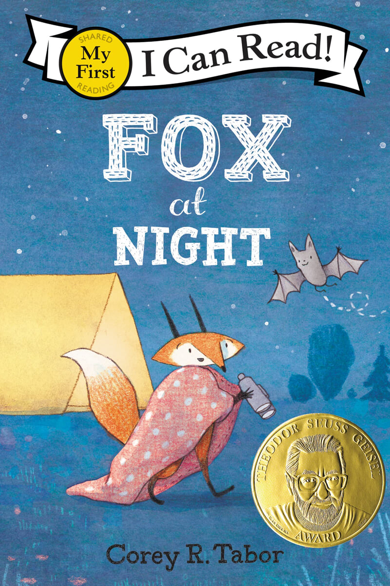 Fox at Night