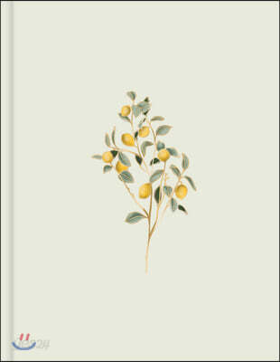CSB Notetaking Bible, Hosanna Revival Edition, Lemons