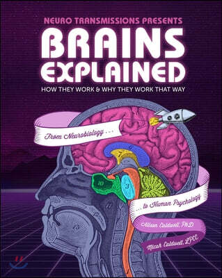 Brains Explained: How They Work & Why They Work That Way Stem Learning about the Human Brain Fun and Educational Facts about Human Body