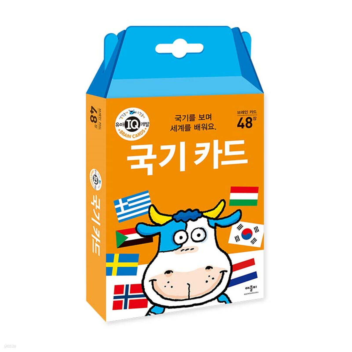 국기 카드